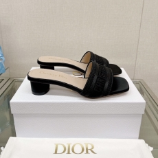 Christian Dior Slippers